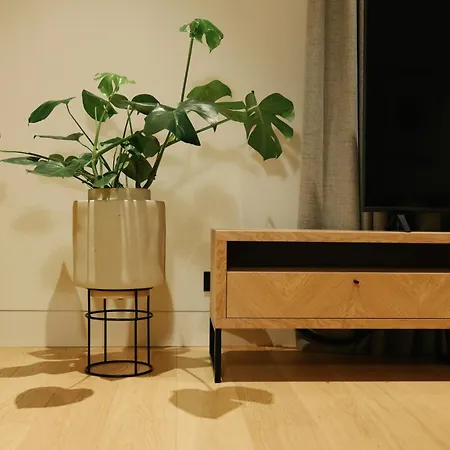 Mrstil Design Aparthotel-2